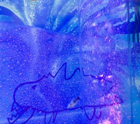 Coloured bubbles rising against blue art glass with child drawn shark outline