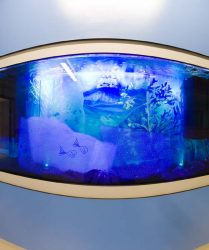 View of whole tank featuring art glass designs with fish outlines backdrop