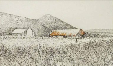 Pen and wash image of barn with rusty roof in field
