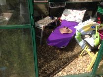 sun lounger in green house with pillow, sunhat and glasses surrounded by watering cans, compost
