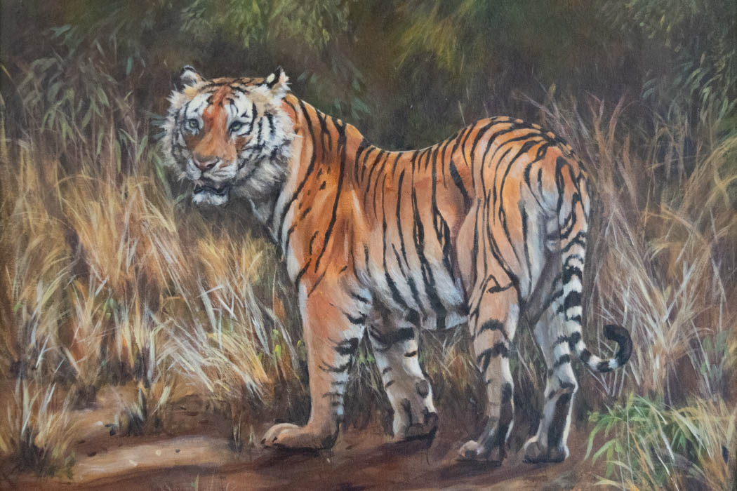 Tiger by Helen Logan