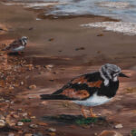 Painting of shore birds