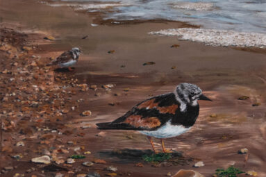 Painting of shore birds