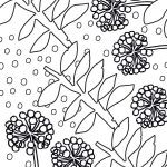outline drawing of leaf and seed head shapes