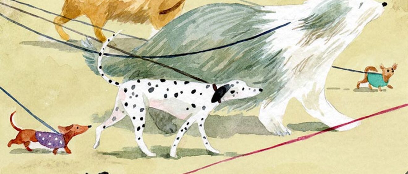 playful watercolour of different breeds of dogs on leads