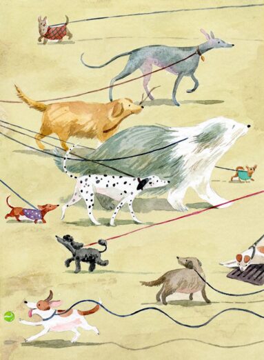playful watercolour of different breeds of dogs on leads