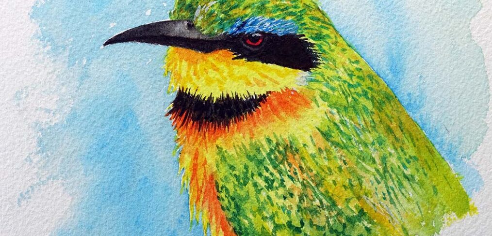 vibrant watercolour of bee eater