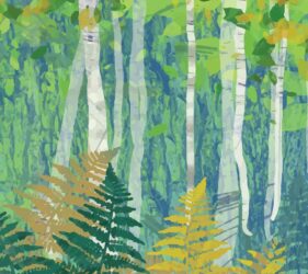 silver birch trees and ferns inspired graphic design