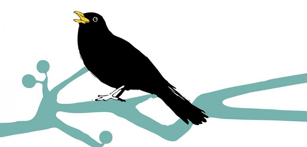 digital drawing of blackbird on a branch