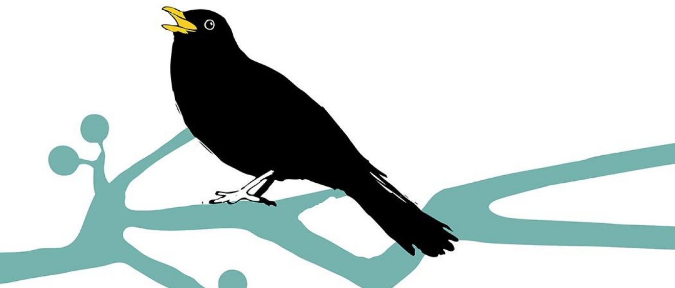 digital drawing of blackbird on a branch