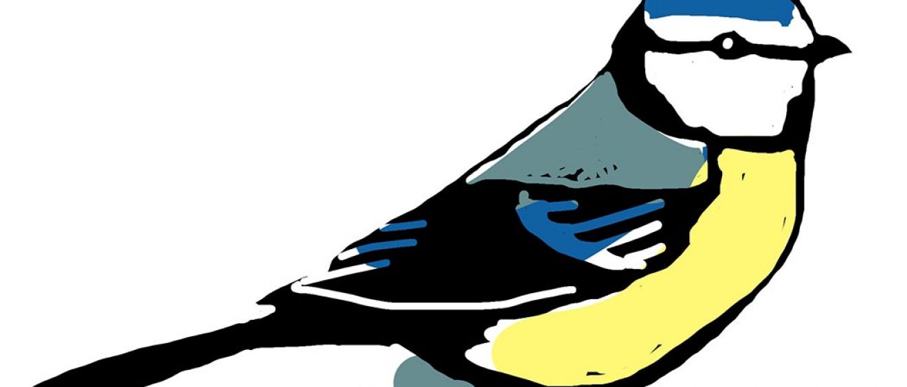 digital drawing of a bluetit