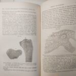Photo of old science text book showing bones