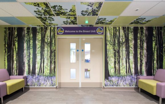 Floor to ceiling bluebell wood artwork panel across entire entrance wall, decorated ceiling tiles above