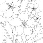 buttercup line drawing by ArtCare