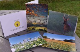 poppy seed heads, buttercup field, Salisbury Cathedral spire seen through autumn leaves and cow field and deer images printed on cards