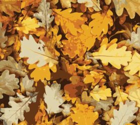 autumnal oak leaves ceiling tile design