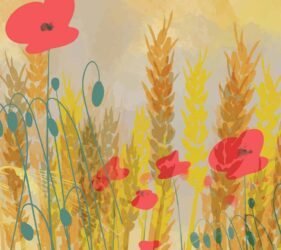 red poppies in cornfield inspired graphic design