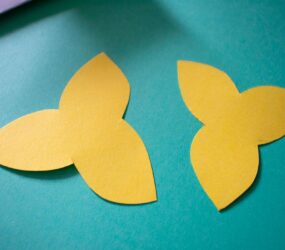 two cut out petal shapes