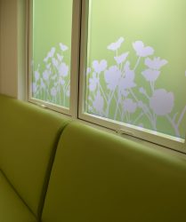 Window film design with flower silhouette on green background