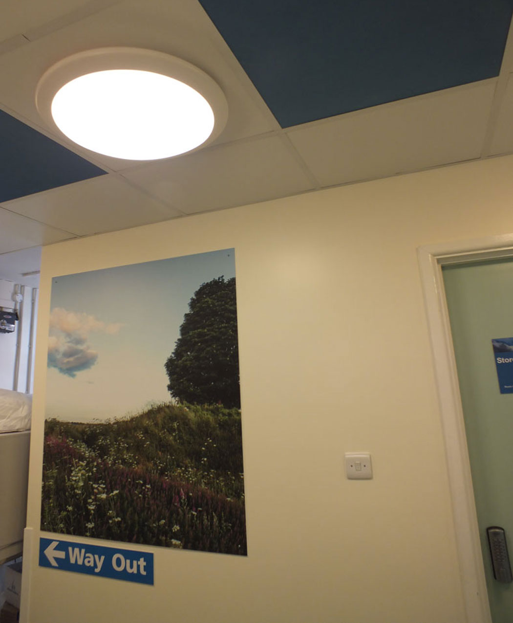 Fertility Centre artworks, Salisbury District Hospital