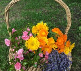 pink roses, lavender, orange marigolds in wicker basket