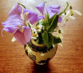 snowdrops, daisy and iris arranged in ceramic vase