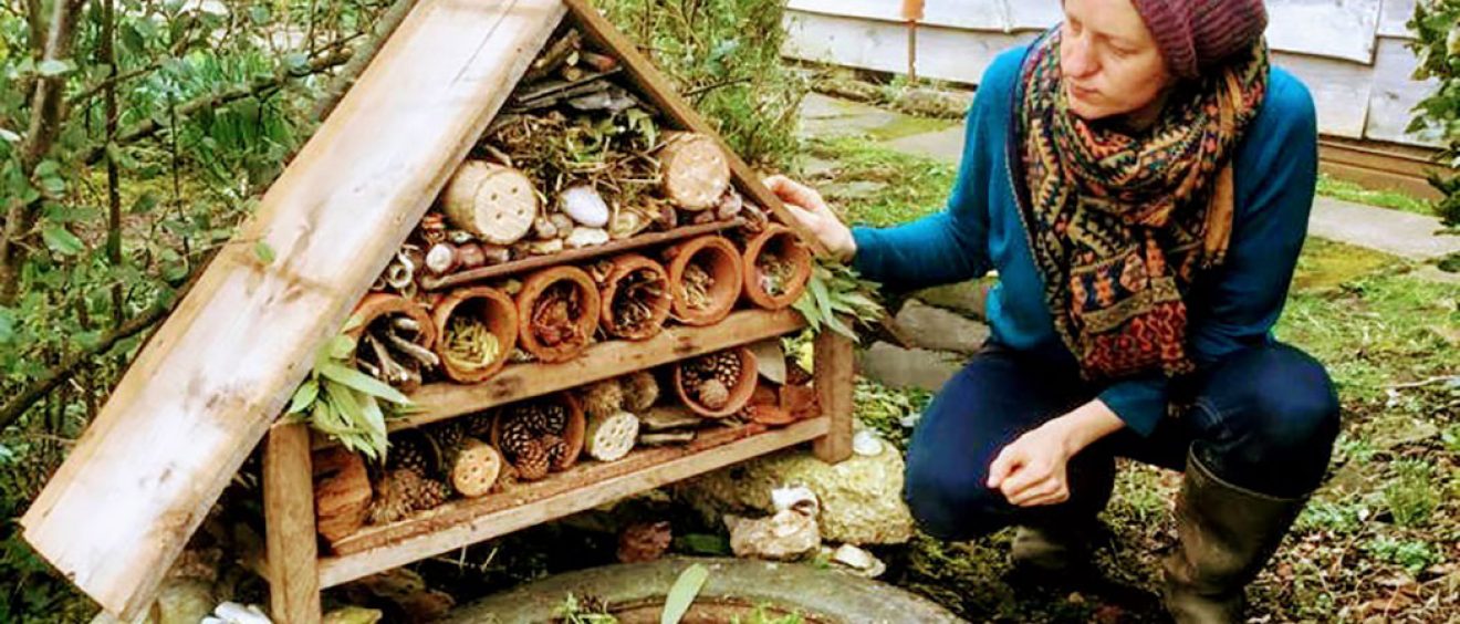 Wooden hut shape filled with logs with holes drilled in, flower pots with twigs, leaves and pine cones to hide in