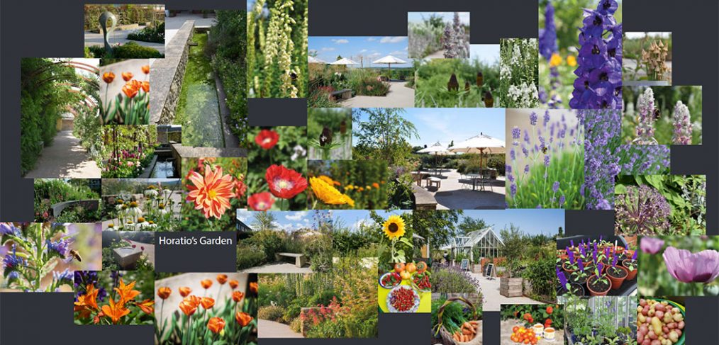 images of plants, spring flowers and sculpture in Horatio's garden