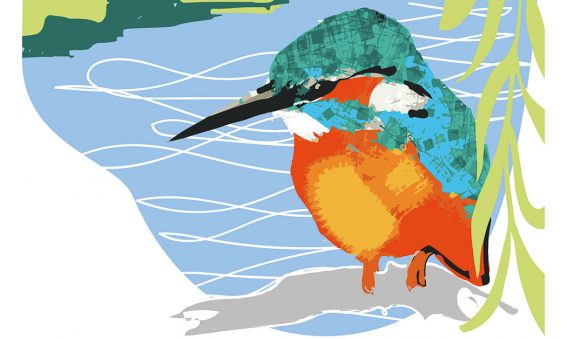 digital drawing of kingfisher on branch by river