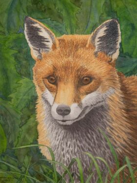 painting of fox peering through leaves