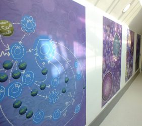 Floor to ceiling corridor artwork abstract liver cell design