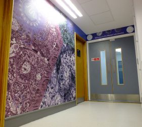 Floor to ceiling corridor artwork abstract liver cell design