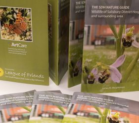 Cover of guide showing orchid growing in hospital grounds
