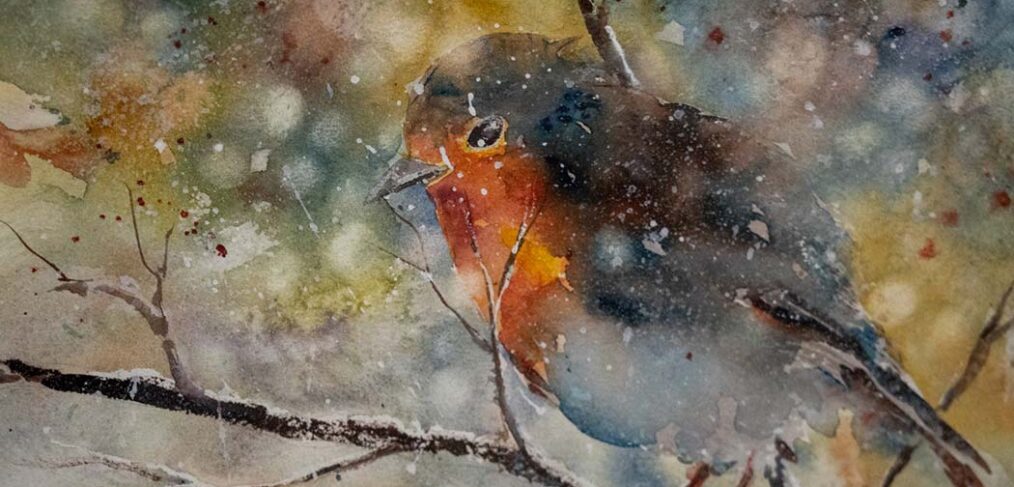 watercolour robin on snowy branch by Sharon Rogers