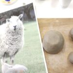 Photograph of sheep and clay pinch pots