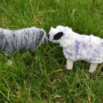 finished woolly sheep standing on the grass