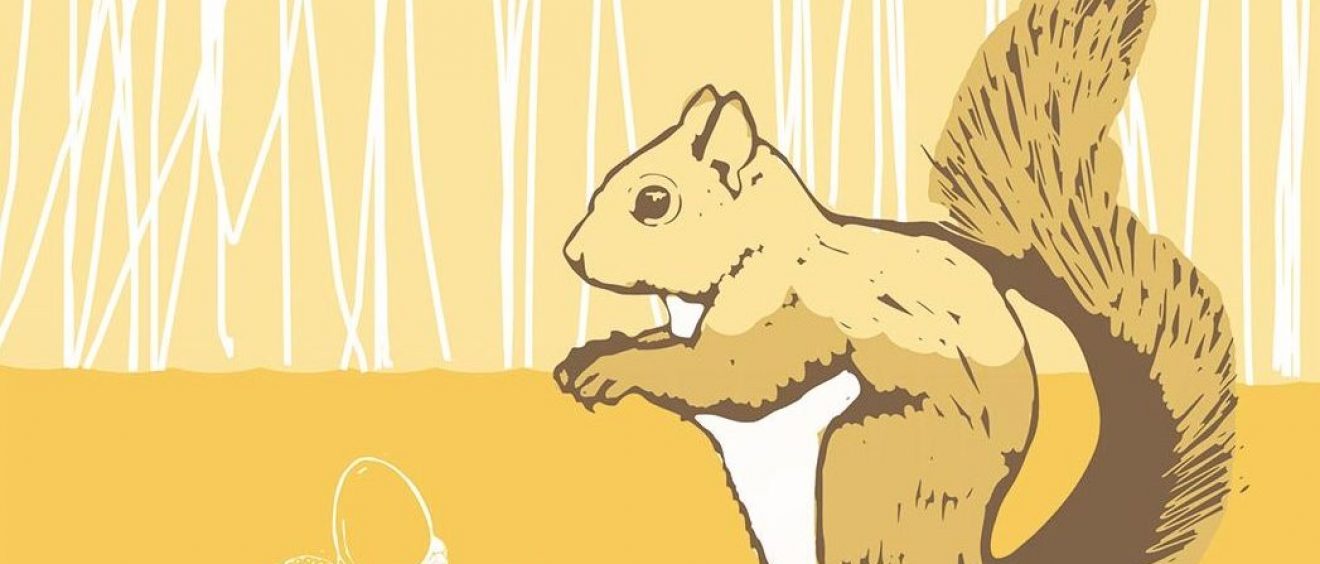digital drawing of brown toned squirrel, with acorns and oak leaves above