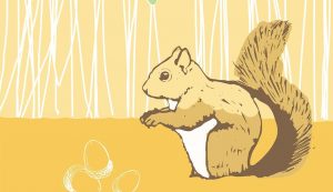 digital drawing of brown toned squirrel, with acorns and oak leaves above