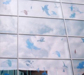 Bird silhouettes filled with cloud images, exterior view reflecting actual clouds on glass