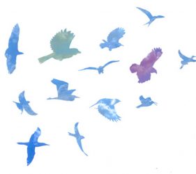 Bird silhouettes filled with cloud images