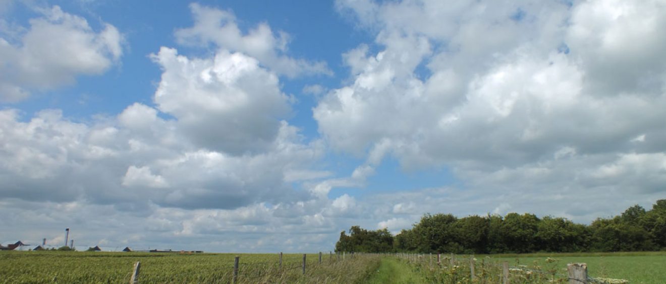 track between fields, Salisbury hospital on horizon