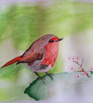watercolour robin by well city participant