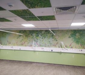 watermeadow bay with full length wall print and ceiling tiles in ward