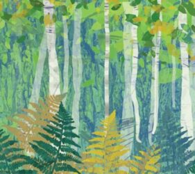silver birch trees and fern ward wall print