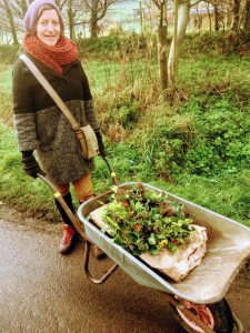 Hannah pushing wheelbarrow filled with Christmas wreaths along country lane