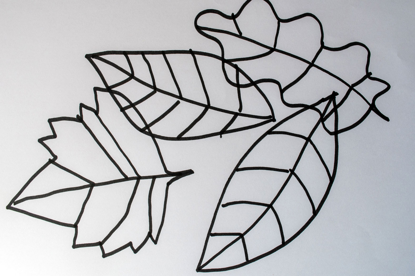 How to Draw a Leaf Step by Step - EasyLineDrawing
