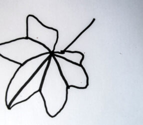 leaf outline in black pen