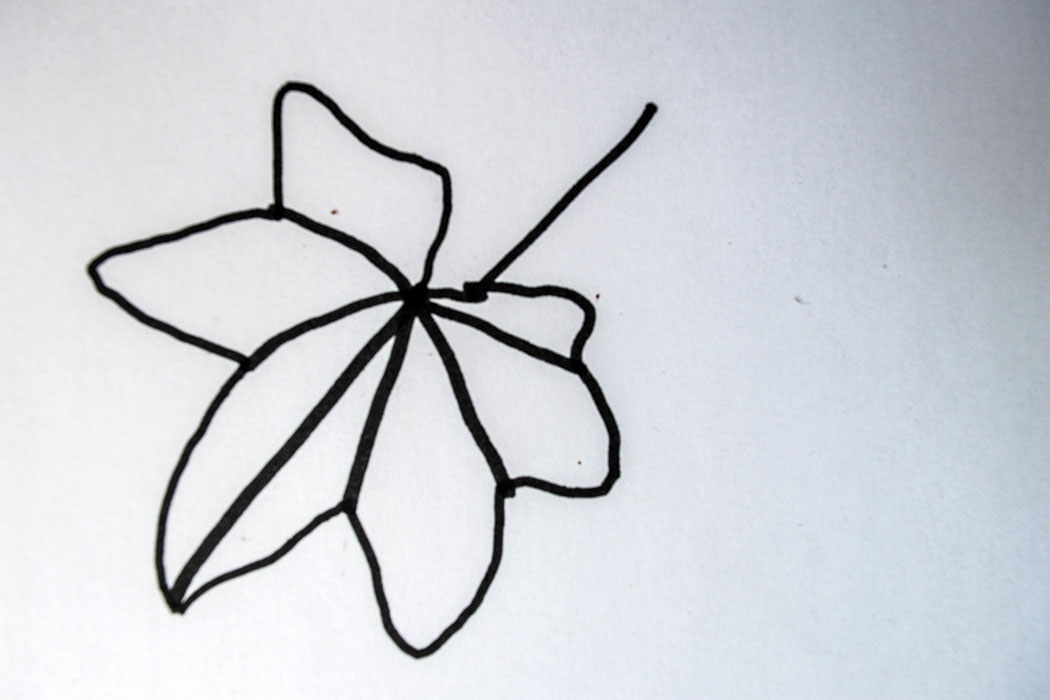 Summer sketch outline leaf hand drawn line herb Vector Image